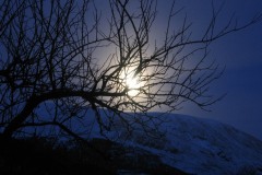 Moonlit Snow Hills at Christmas