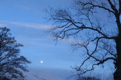 Full moon in winter